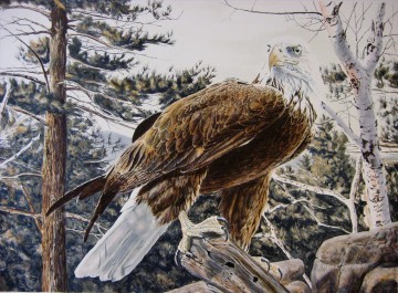 pflaume vögel Ölbilder verkaufen - Adlern auf weißen Baum Vögel